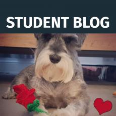 Student Blog &ndash; Sharing my love for poetry